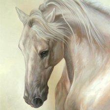 Cross stitch pattern: #964654
