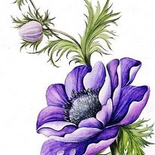 Cross stitch pattern: #964716