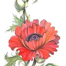 Cross stitch pattern: #964725