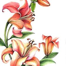 Cross stitch pattern: #964727