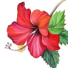 Cross stitch pattern: #964789