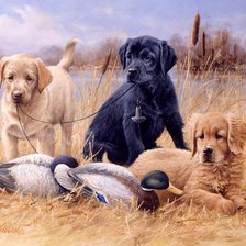 Cross stitch pattern: #965377