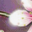 Preview of cross stitch pattern: #965874