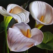 Cross stitch pattern: #966330