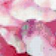 Preview of cross stitch pattern: #966469