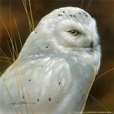 Cross stitch pattern: #966562