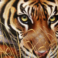 Cross stitch pattern: #966587