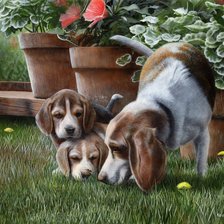 Cross stitch pattern: #967237