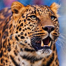 Cross stitch pattern: #967468