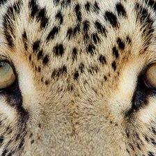 Cross stitch pattern: #967470