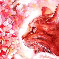 Cross stitch pattern: #967607
