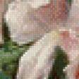 Preview of cross stitch pattern: #968988