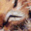 Preview of cross stitch pattern: #969010