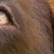 Preview of cross stitch pattern: #969995