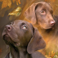 Cross stitch pattern: #969995
