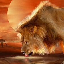 Cross stitch pattern: #969997