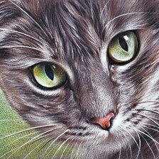 Cross stitch pattern: #970358