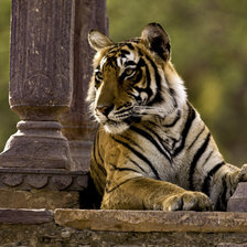 Cross stitch pattern: #970972