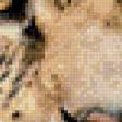 Preview of cross stitch pattern: #971014
