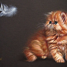 Cross stitch pattern: #971137