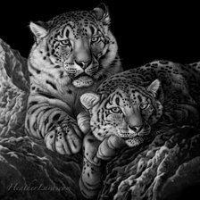 Cross stitch pattern: #971147