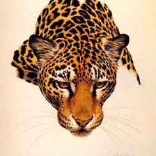 Cross stitch pattern: #971150