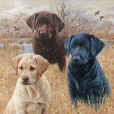 Cross stitch pattern: #971153