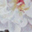 Preview of cross stitch pattern: #971155