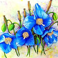 Cross stitch pattern: #971431
