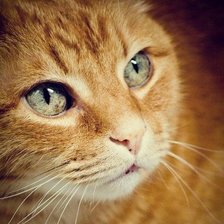 Cross stitch pattern: #971692