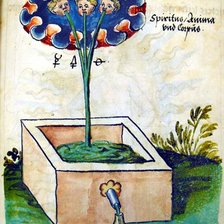 Cross stitch pattern: #972161