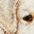 Preview of cross stitch pattern: #972290