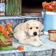 Cross stitch pattern: #972290