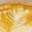 Preview of cross stitch pattern: #972300