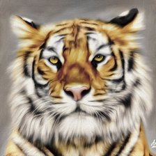 Cross stitch pattern: #972323