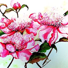Cross stitch pattern: #973546