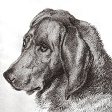 Cross stitch pattern: #973552