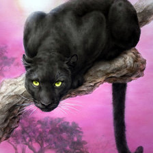 Cross stitch pattern: #974000