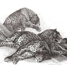 Cross stitch pattern: #974366