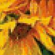 Preview of cross stitch pattern: #974372