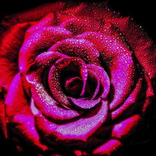 Cross stitch pattern: #974924