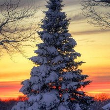 Cross stitch pattern: #975651