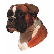 Cross stitch pattern: #976130