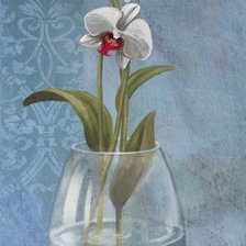 Cross stitch pattern: #977701