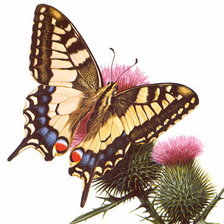 Cross stitch pattern: #978673