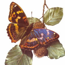 Cross stitch pattern: #978678