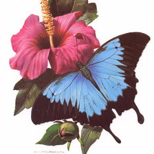 Cross stitch pattern: #978688