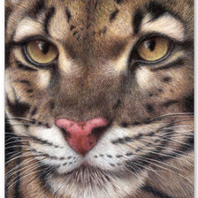 Cross stitch pattern: #979341