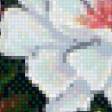 Preview of cross stitch pattern: #980676
