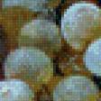 Preview of cross stitch pattern: #980684